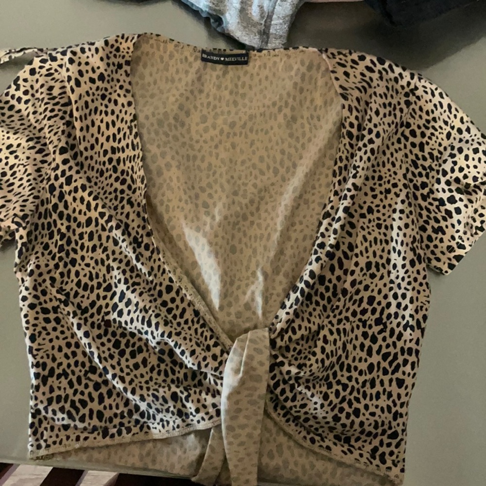 Brandy Melville Crop top